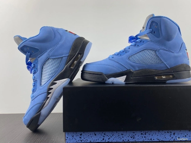 Rep MAX UNC 5 Jordan Air DV1310-401 0808